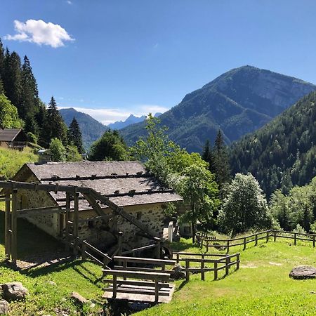Ronchet Baita Vanoi Trentino Ronco-Chiesa Экстерьер фото